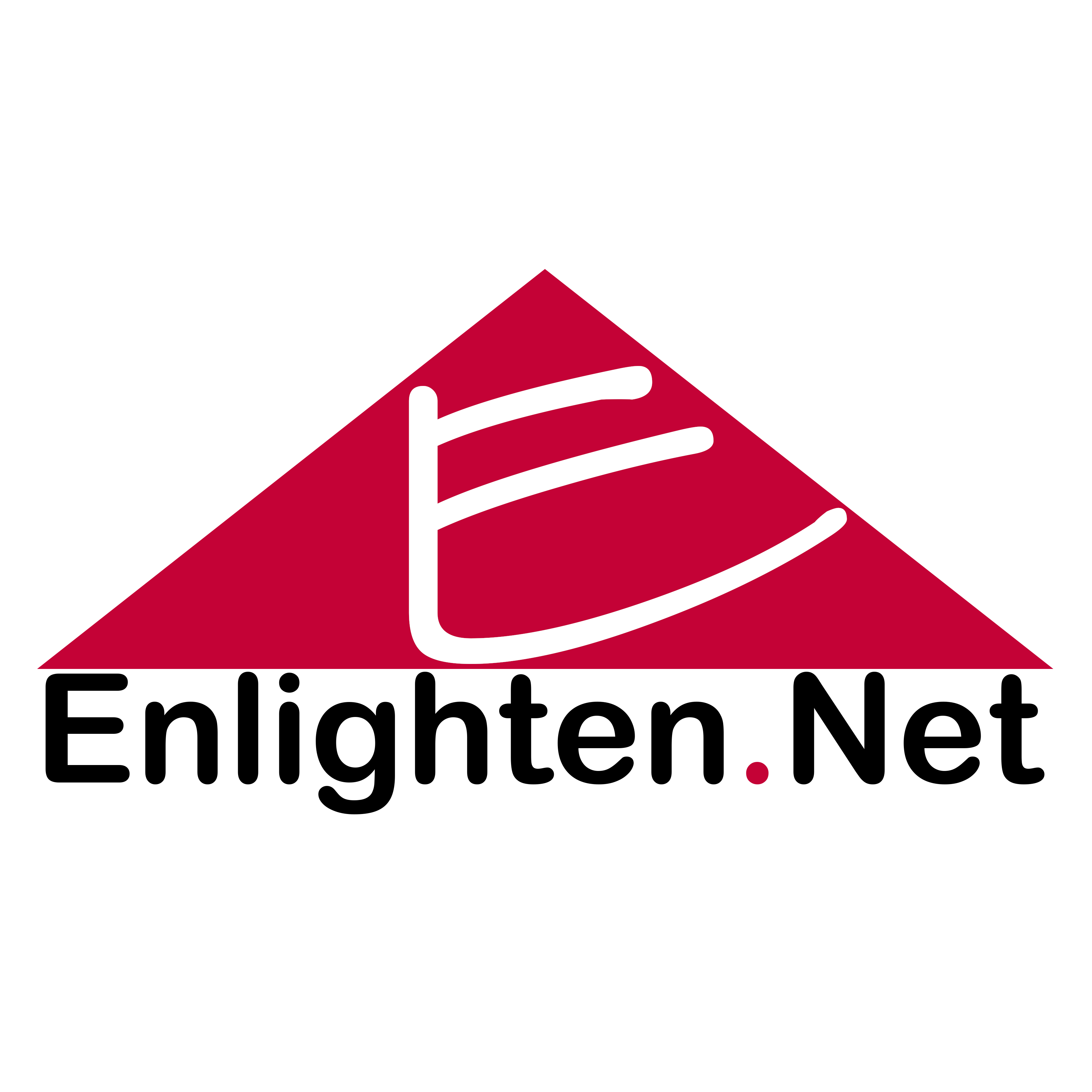 Enlighten.Net Logo